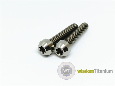 titanium motorcycle bolts