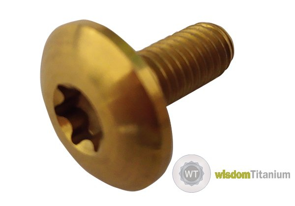 Honda Titanium Brake Rotor Bolt M6*1.25*17