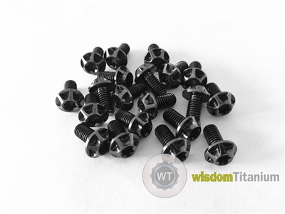 titanium motorcycle bolts