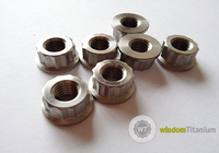 M8 Titanium 12 Point Flange Nut