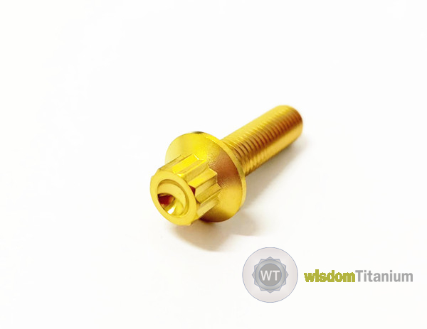 Titanium wheel hub bolts