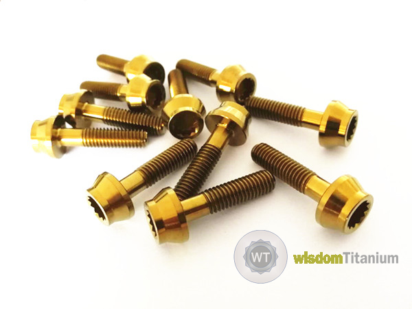 Titanium Sprit Wheel Bolts