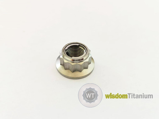 M10 Titanium Locking Nuts