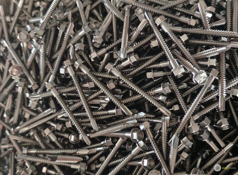 Boat Titanium Fastener
